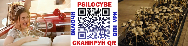 Псилоцибиновые грибы GOLDEN TEACHER  hydra зеркало  Давлеканово 